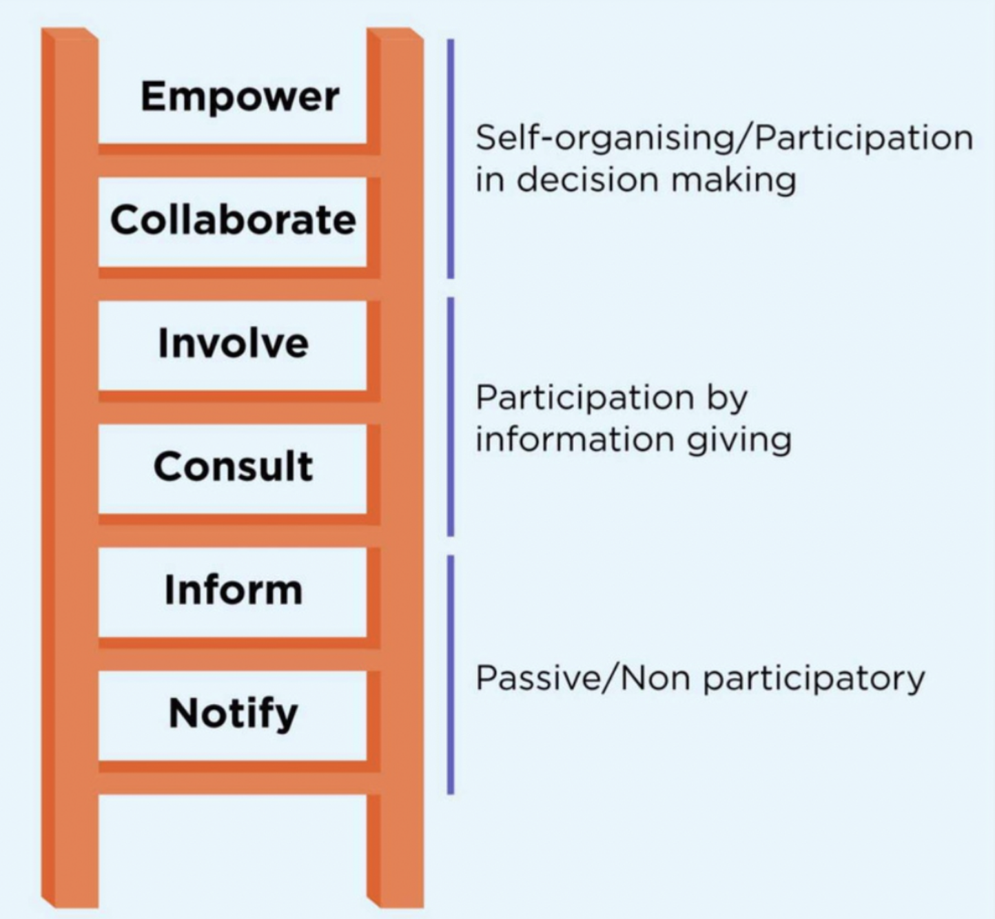 Ladder of Participation